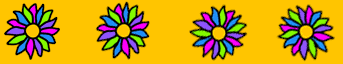 horizontal divider