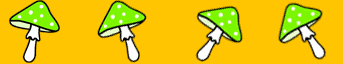 horizontal divider